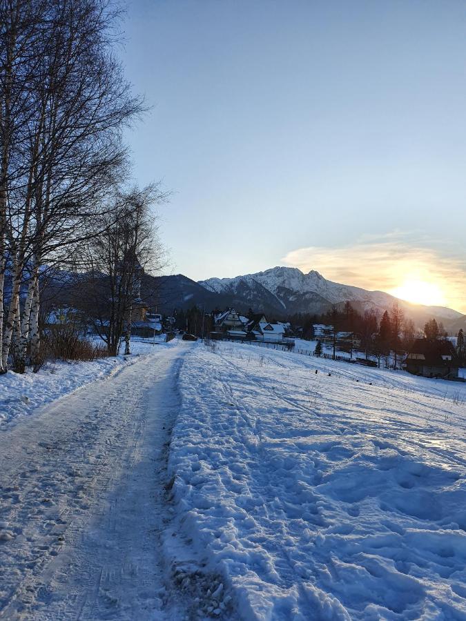 Podhalanskie Zacisze Zakopane Exterior foto