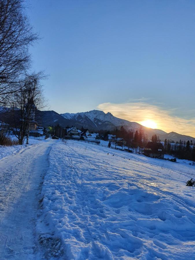 Podhalanskie Zacisze Zakopane Exterior foto